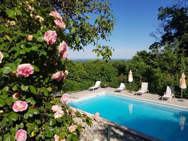 La Gazouillerie - Pleine Nature Lauresses Luaran gambar